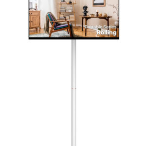 Portable TV